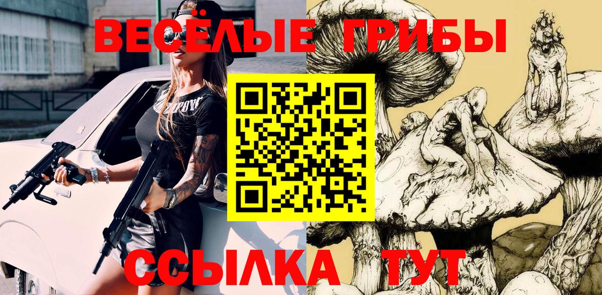 Псилоцибиновые грибы прущие грибы  Вход с VPN  Саров 